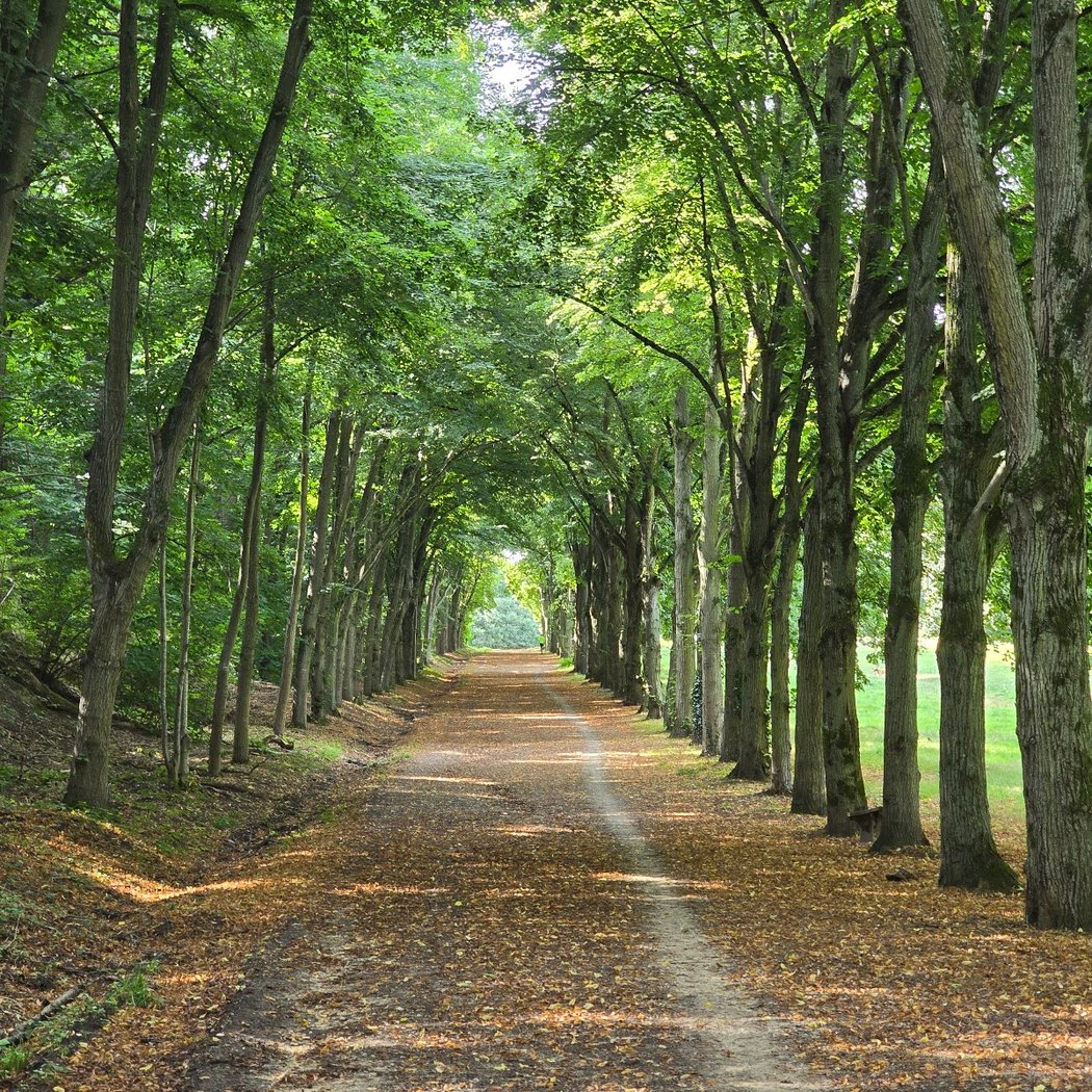 Carrefour de l'Anémomètre 1